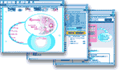 WEB制作